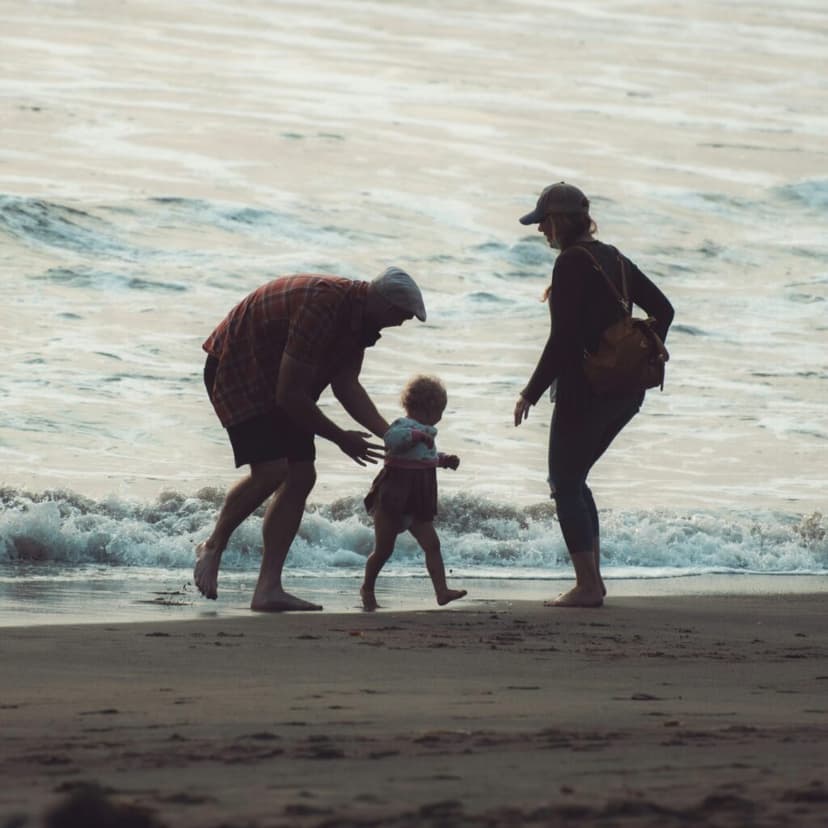 Physical therapy and wellness